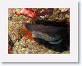 06-Bequia - 50